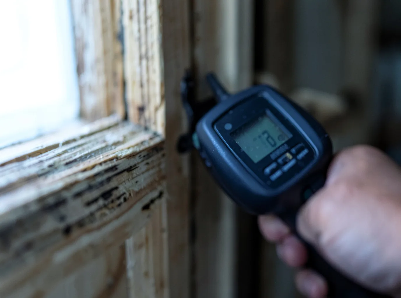 Moisture Inspection And Documentation in Green Pond, AL